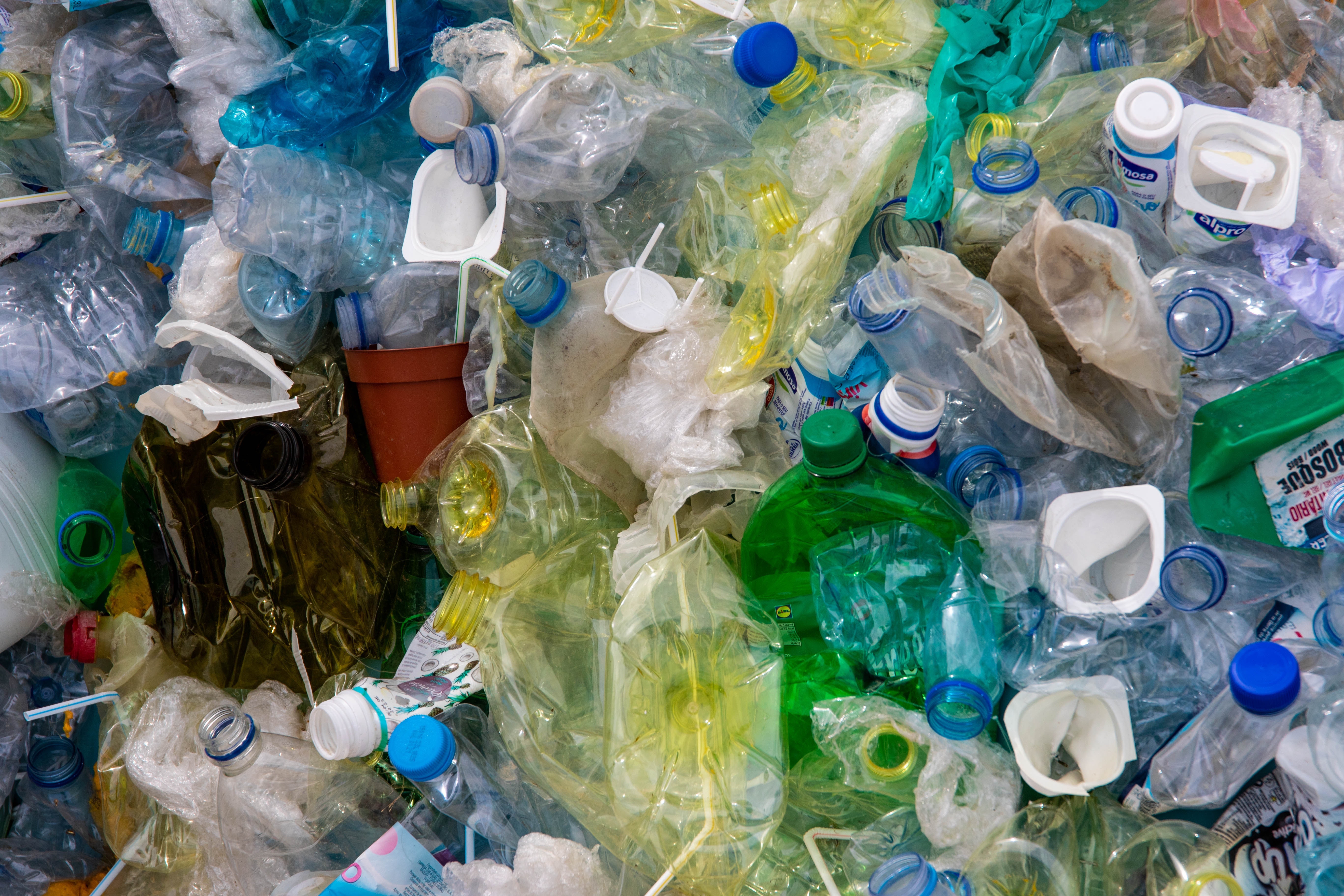 The Truth About Recycling: Separating Fact from Fiction | The ...